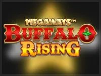 Buffalo Rising All Action Megaways